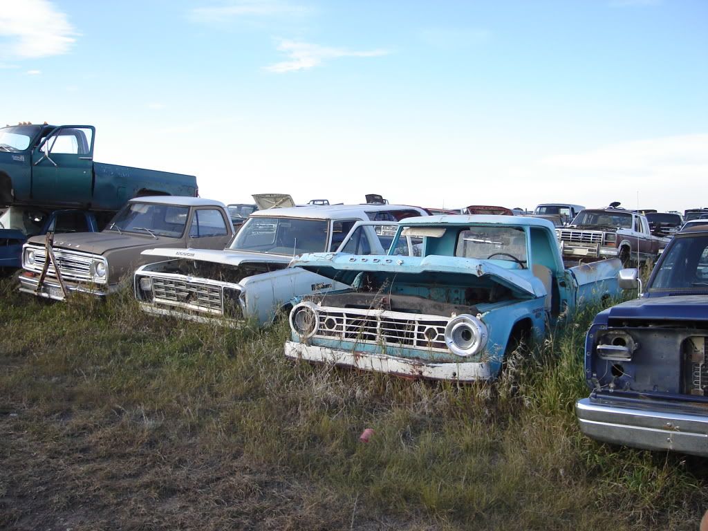 Alberta Auto Wrecker pics For A Bodies Only Mopar Forum